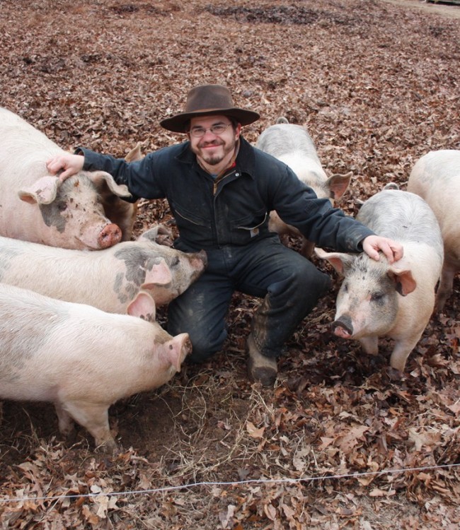 Ray with pigs