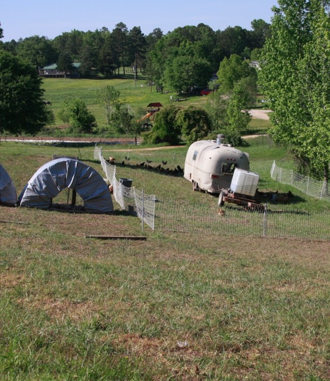 Egg mobile and chicken tractors