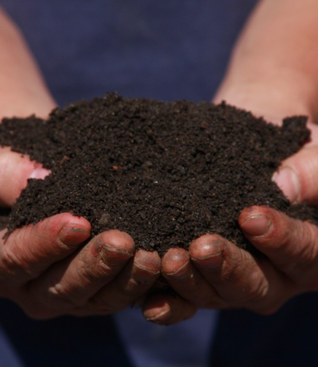 A farmer’s black gold